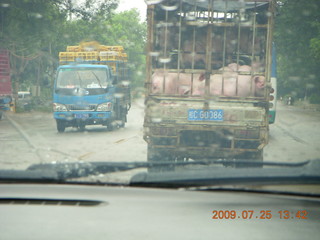 China eclipse - drive in the rain from Yangshuo to Guilin - pigs