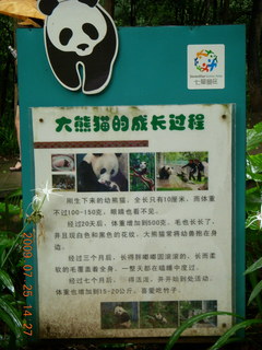 China eclipse - Guilin SevenStar park - panda exhibit sign