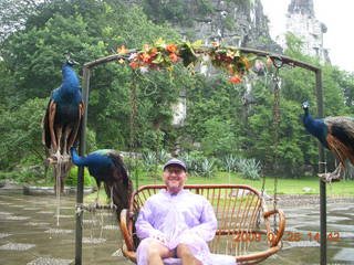 236 6xr. China eclipse - Guilin SevenStar park - peacocks and Adam