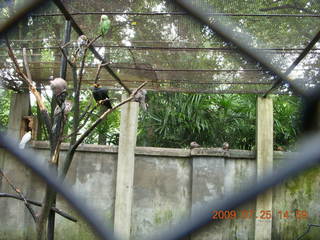 China eclipse - Guilin SevenStar park - monkey zoo