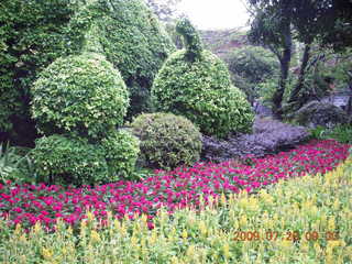 39 6xs. China eclipse - Guilin - Han park - topiary