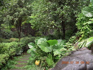 61 6xs. China eclipse - Guilin - Reed Flute Cave