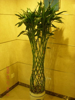 13 6xt. China eclipse - Beijing Novotel Hotel - plant sculpture