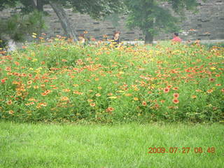 42 6xt. China eclipse - Beijing morning run - flowers