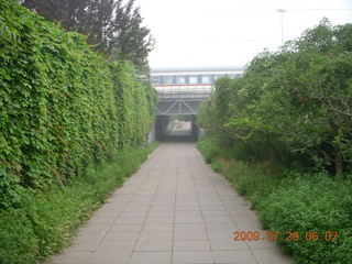 China eclipse - Beijing morning run - back alley