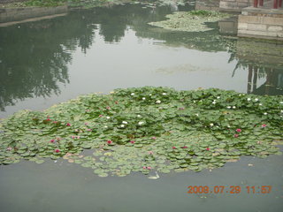 China eclipse - Beijing - Summer Palace