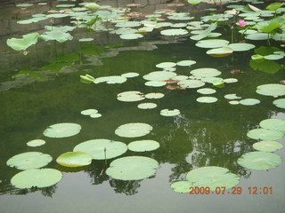 China eclipse - Beijing - Summer Palace