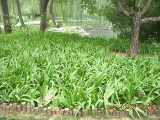 China eclipse - Beijing - Summer Palace