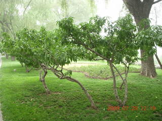 China eclipse - Beijing - Summer Palace