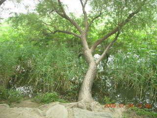 China eclipse - Beijing - Summer Palace