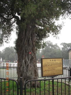 China eclipse - Beijing - Temple of Heaven