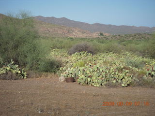 Superior Airport (E81) run - horses and riders`