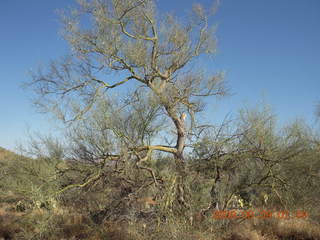 Superior Airport (E81) run