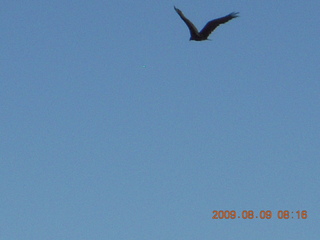 Superior Airport (E81) run