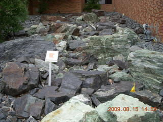 Japanese Garden - rocks