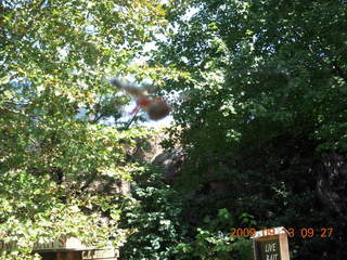 Philadelphia Zoo (blurry spider)