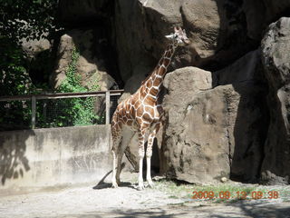 Philadelphia Zoo - Gaby