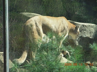 Philadelphia Zoo - Gaby
