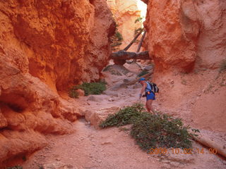1087 702. Bryce Canyon amphitheater hike - Adam
