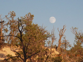 red moonrise in Globe, Arizona