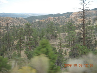 104 703. driving to Kodachrome Basin