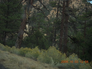 105 703. driving to Kodachrome Basin