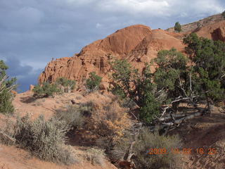 164 703. Kodachrome Basin State Park - Shakespeare Arch trail