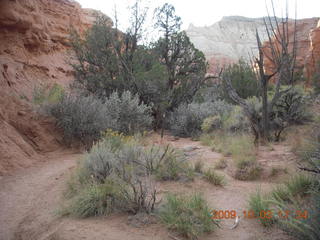 213 703. Kodachrome Basin State Park - Angel's Palace trail