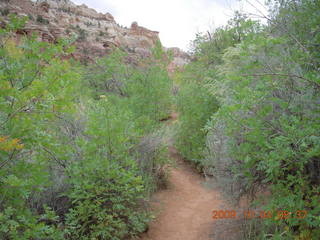 48 704. Escalante - Calf Creek trail