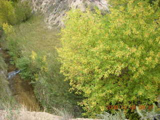 83 704. Escalante - Calf Creek trail