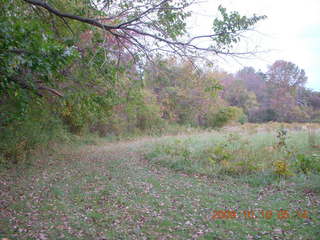 Tatum Park - Shore AC XC