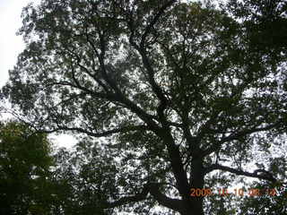 John's house in Holmdel