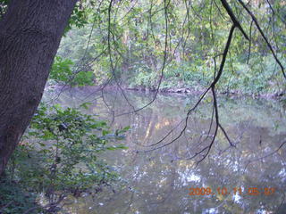 Pennypack Park run