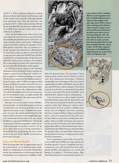 _Scientific American_ all about cats