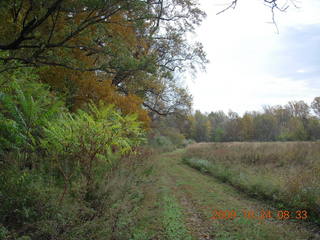 Shore AC XC