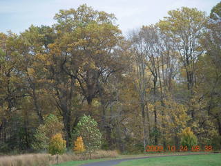 Shore AC XC