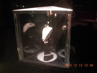 Philadelphia - Franklin Institute - moon rock