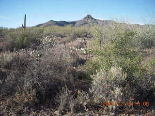 aerial - Beth's neighborhood in Cave Creek