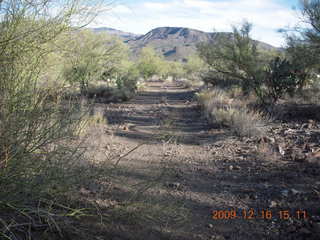 Red Creek hike