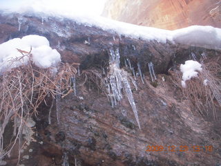 69 72p. Zion National Park - Observation Point hike