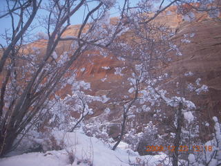 Zion National Park - Observation Point hike