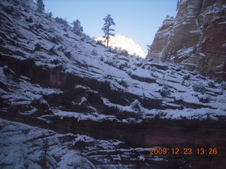 83 72p. Zion National Park - Observation Point hike