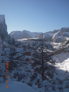 89 72p. Zion National Park - Observation Point hike