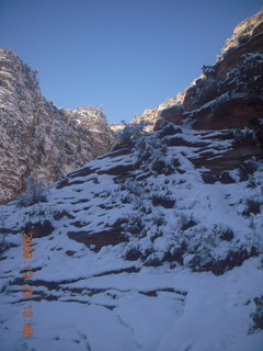 Zion National Park - Observation Point hike