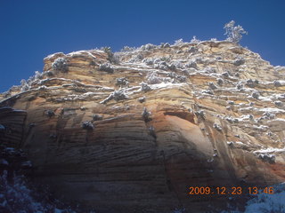 92 72p. Zion National Park - Observation Point hike