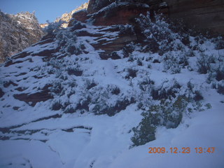 Zion National Park - Observation Point hike