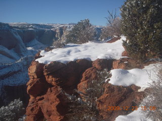 Zion National Park - Observation Point hike - Adam