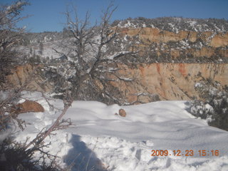 125 72p. Zion National Park - Observation Point hike - top