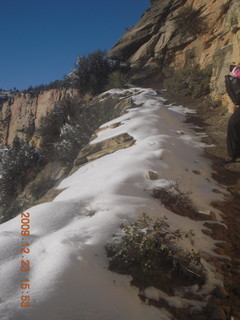 129 72p. Zion National Park - Observation Point hike