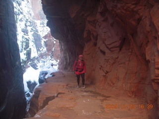 1163 72p. Zion National Park - Observation Point hike - Adam
